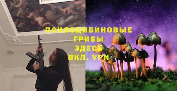 трава Арсеньев