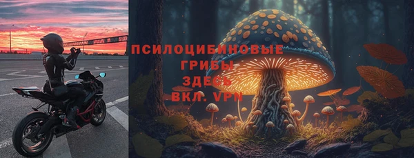 ALPHA PVP Аркадак