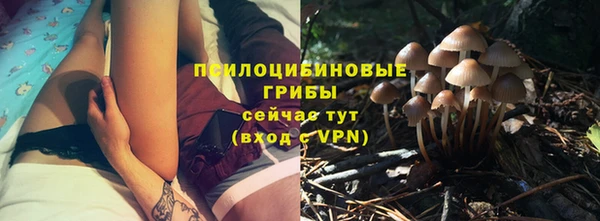 трава Арсеньев